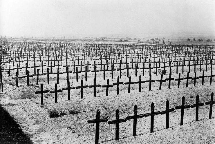 Row of crosses at the Neuville-St Vaast German Military Cemetery