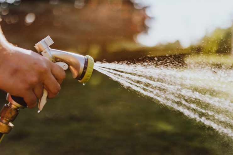 Hand maneuvering a watering hose