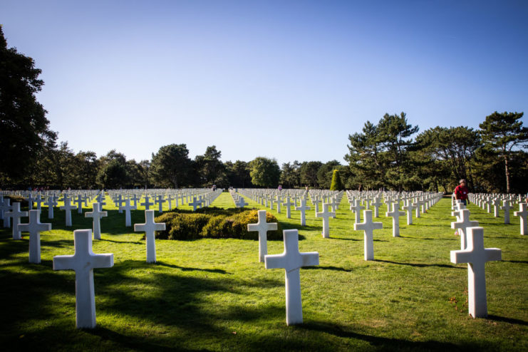 Rows of crosses at Normandy American Cemetery