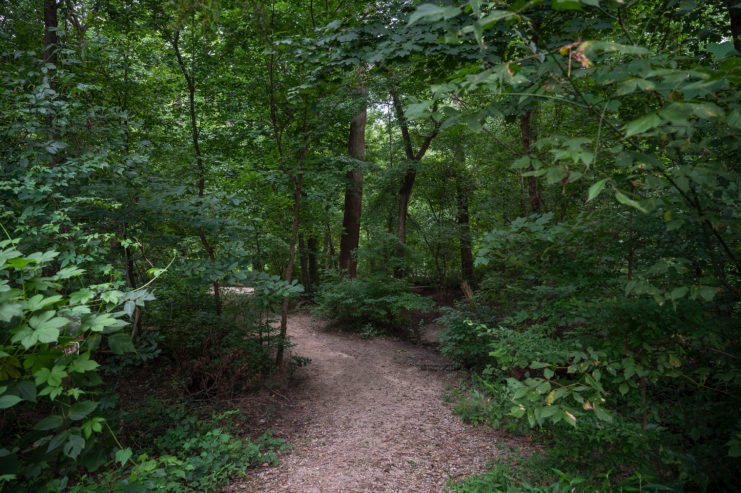 View of the Juniper Trailhead