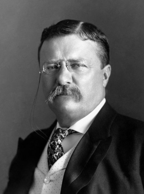 Portrait of Theodore "Teddy" Roosevelt