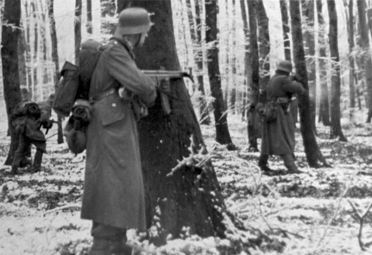 German Volksgrenadiers aiming StG 44s from behind trees
