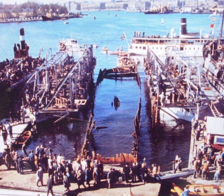 People gathered around the partially-submerged remains of Vasa