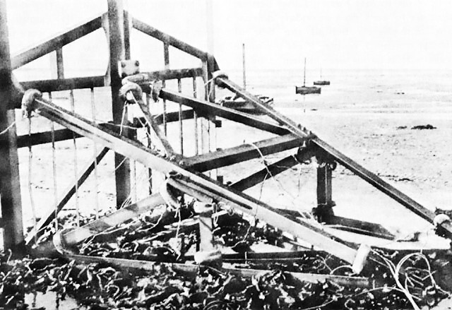 Cointet-element positioned along a beach