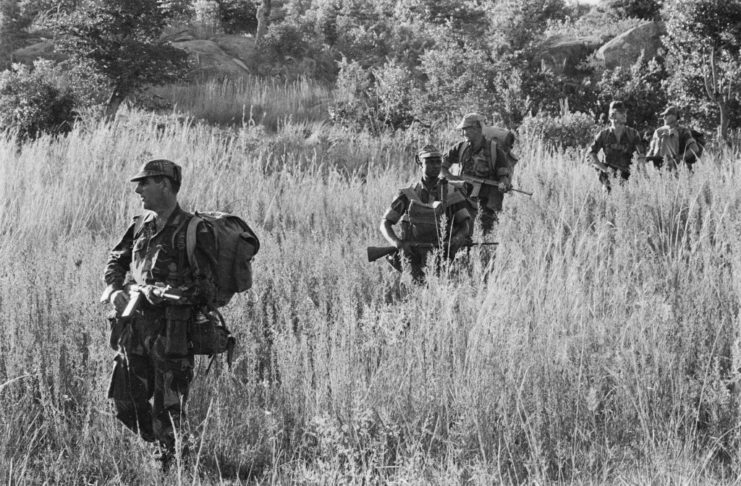 Members of the British South Africa Police walking through tall grass