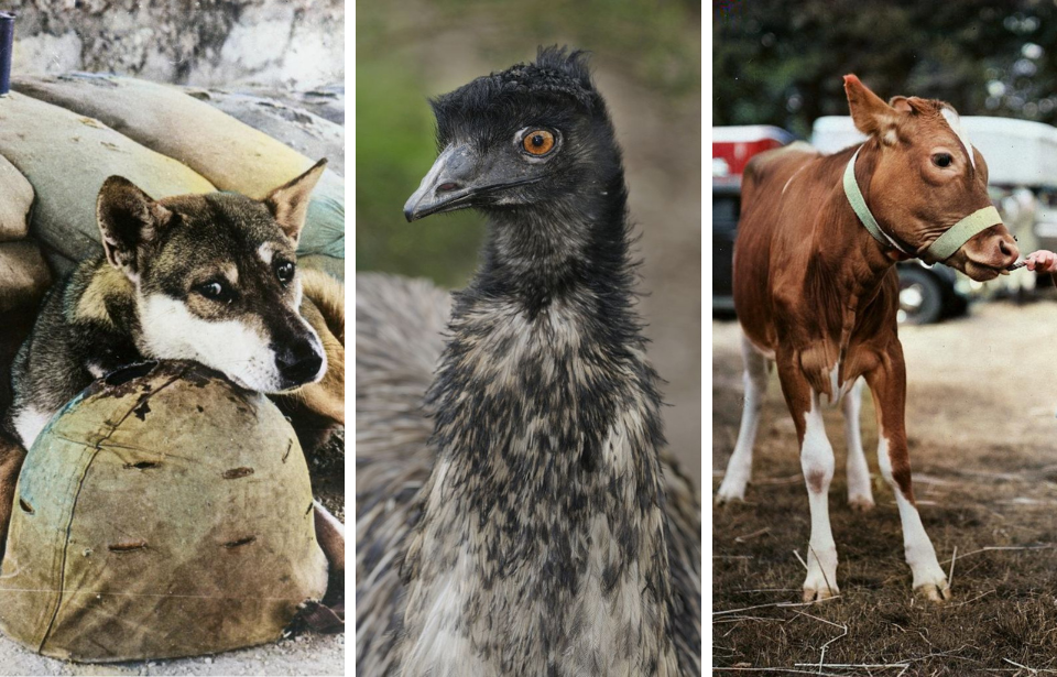 Photo Credits: 1. Keystone / Getty Images 2. Ouan / Rius / Gamma-Rapho / Getty Images 3. Fox Photos / Getty Images