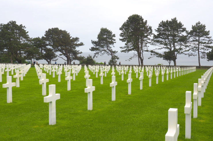 Rows of crosses at Normandy American Cemetery