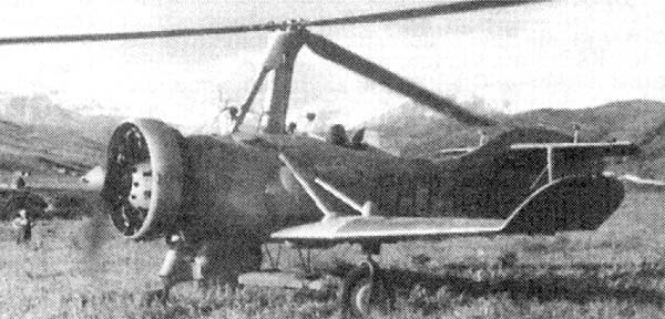 Kamov A-7bis parked in grass
