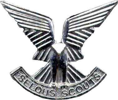 Selous Scouts cap badge