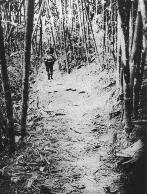 North Vietnamese soldiers walking along the Ho Chi Minh Trail