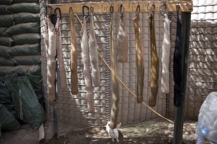 Socks filled with water bottles hanging from a fence
