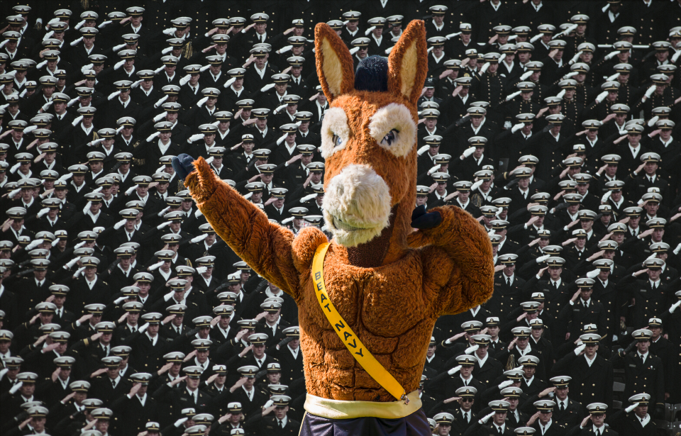 US Navy sailors saluting in full uniform + US Military Academy West Point mule mascot holding its arm out