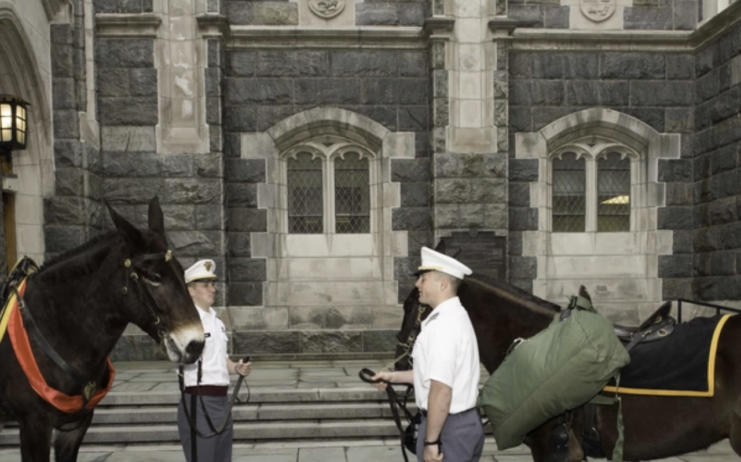 Two cadets handling two mules outside of a building at the US Military Academy West Point