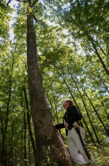 Female sailor standing below a white oak tree