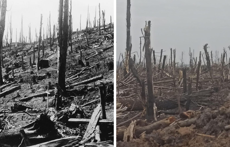 View of No Man's Land during World War I + View of No Man's Land during the Russo-Ukrainian War