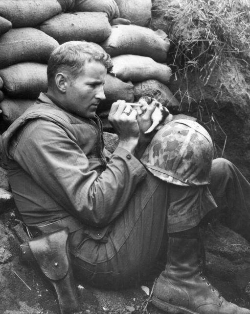 Sgt. Frank Praytor feeding Miss. Hap with an eyedropper