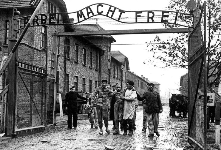 Prisoners being led through the front gate at Auschwitz by Red Army soldiers