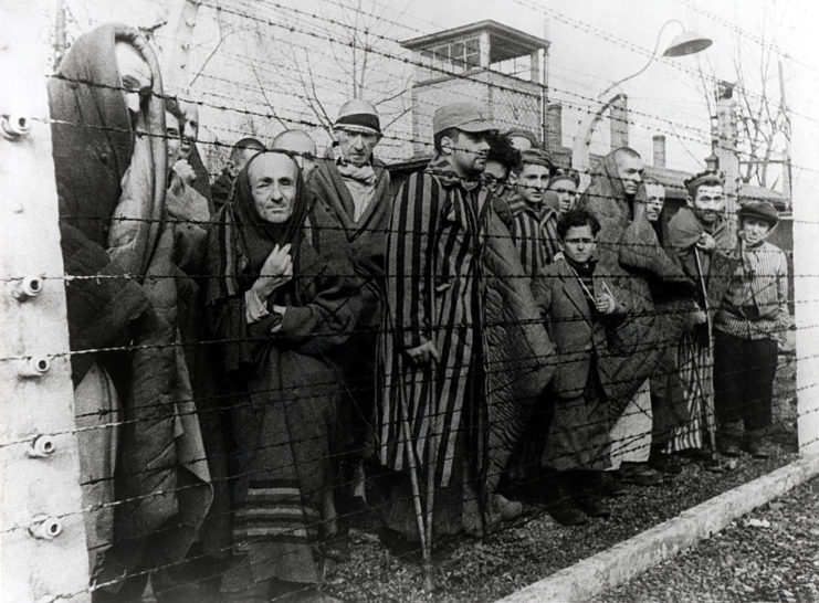Prisoners standing behind a barbed wire