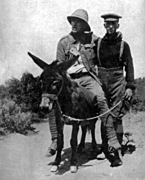 Richard Alexander Henderson aiding an injured soldier riding atop a donkey