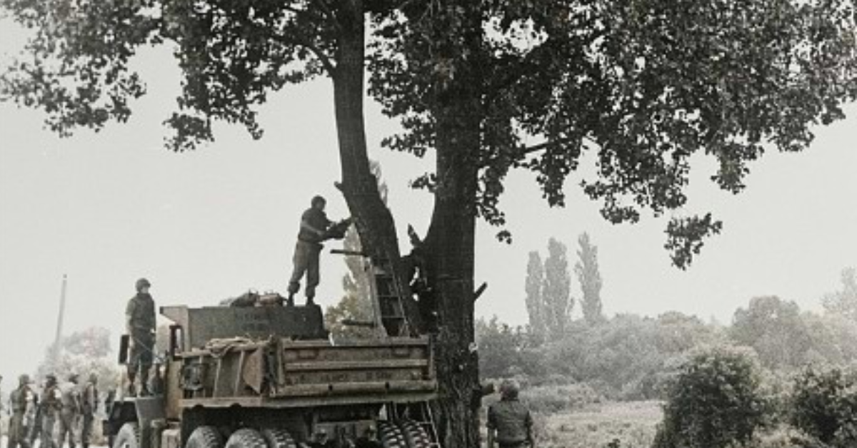 The Axe Murders of Two US Army Officers Almost Sparked a Second Korean