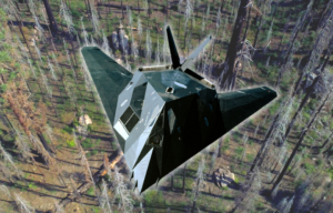 Aerial view of Sequoia National Forest + Lockheed F-117 Nighthawk