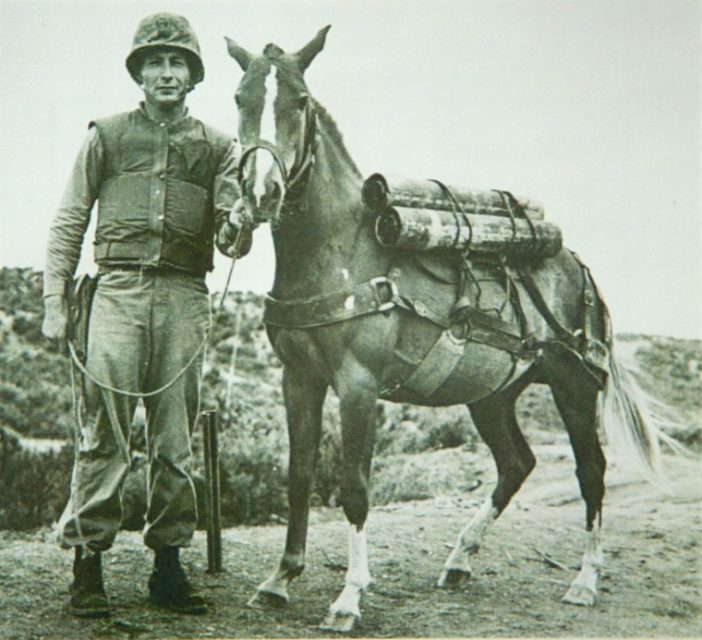 Gunnery Sgt. Joseph Latham standing with Sergeant Reckless