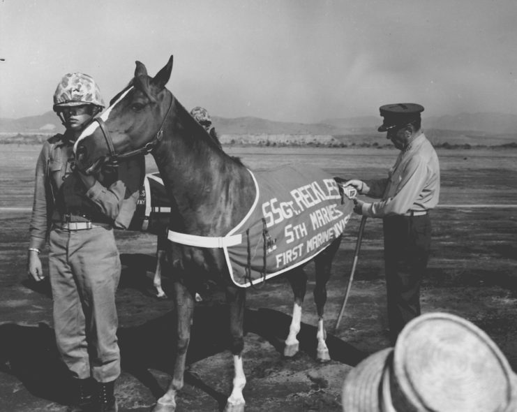 Two military officials standing with Sergeant Reckless