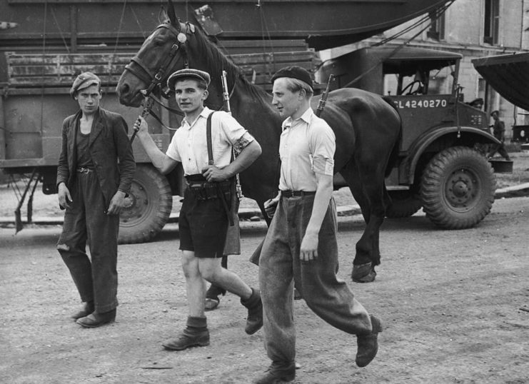 Three members of the French Resistance walking down a road with a horse