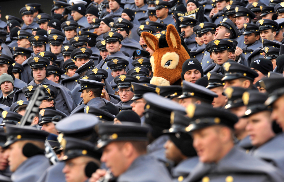 US Military Academy West Point mule mascot standing among a crowd of cadets