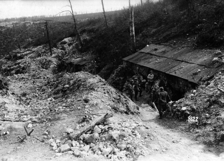 German soldiers standing in a trench in the middle of shell-pocked stretch of forest