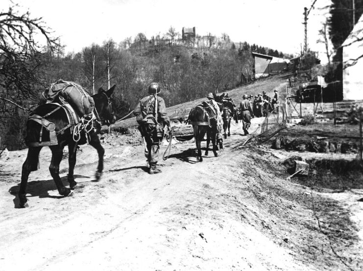 US soldiers and mules walking along a dirt road