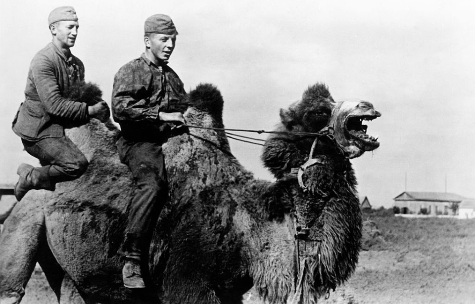 German soldiers riding a camel. (Photo Credit: ullstein bild / Getty Images)