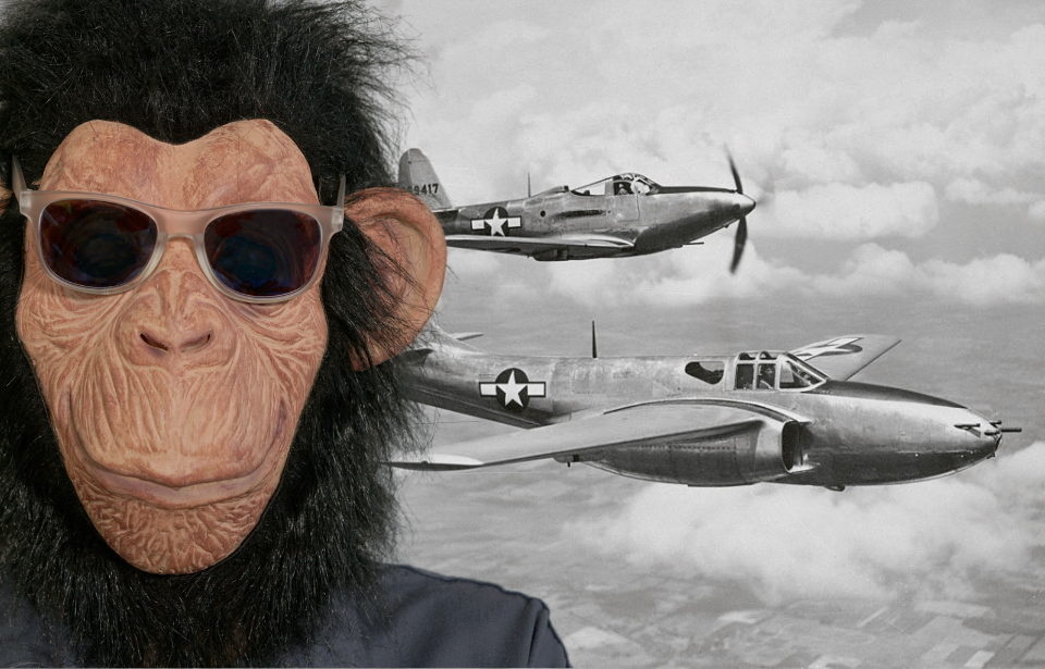 Two Bell P-59 Airacomets in flight + Individual wearing a gorilla mask