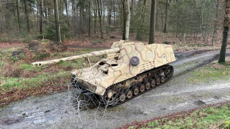 Nashorn driving along a dirt road in the middle of a forest