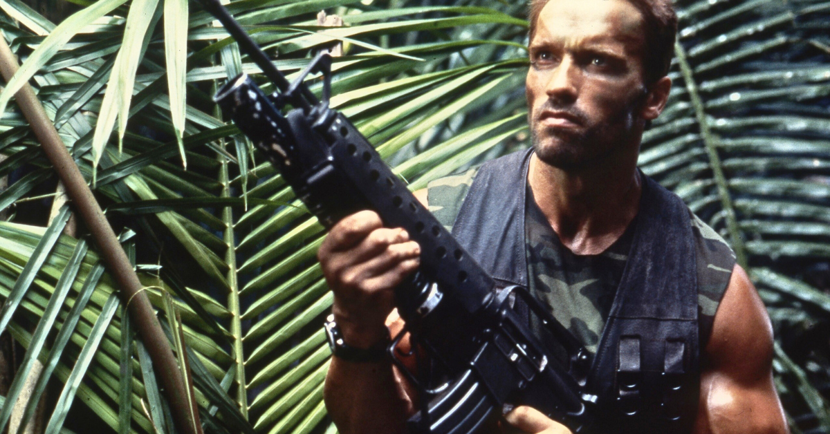 'Nobody Knows Action Like Arnold Schwarzenegger' - Actor Named Netflix