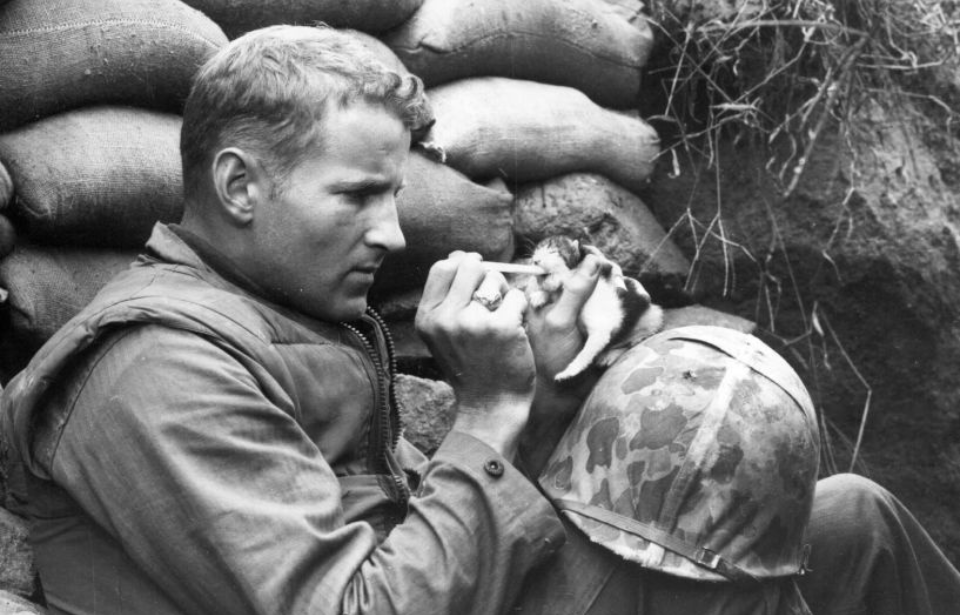 Frank Praytor feeding an orphaned kitten with a dropper following the fighting at Bunker Hill