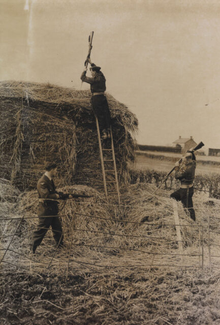 Three British soldiers sticking their bayonets into a large bail of hay