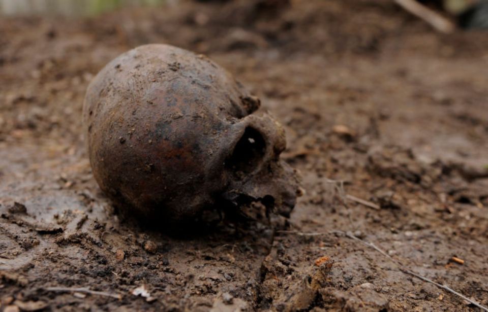 Skull lying in the dirt
