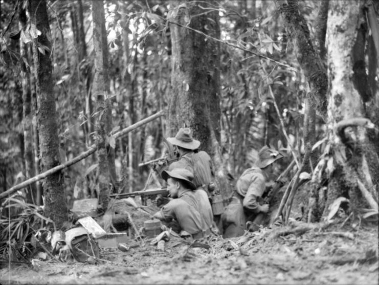 Members of the Australian 2/5th Battalion, 17th Brigade, 6th Division aiming their weapons in the jungle