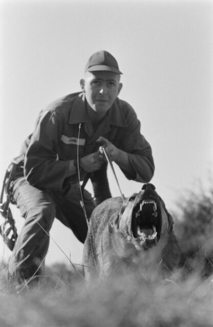 US airman restraining a German Shepherd that's baring its teeth