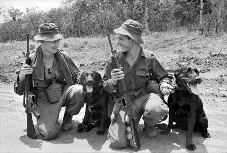 Two Australian servicemen sitting with two dogs