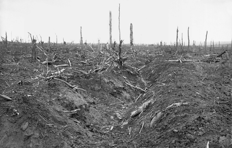 German trench surrounded by the remnants of trees