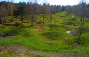 Craters and trees scattered across the battlefield in Verdun