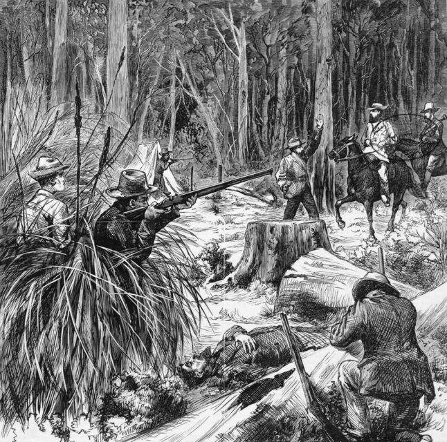 Illustration of the shootout that occurred during the Stringybark Creek police murders