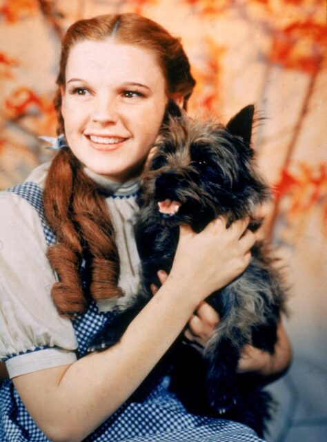 Judy Garland as Dorothy Gale in 'The Wizard of Oz'