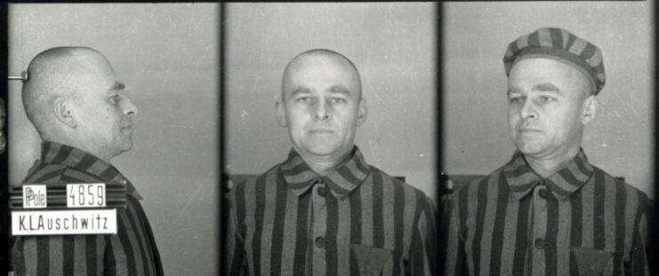 Three portraits of Witold Pilecki in his Auschwitz prisoner uniform