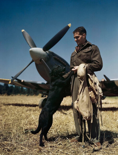 Johnnie Johnson standing with his dog