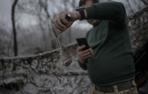 Military health worker holding up a live mouse with a pair of scissors