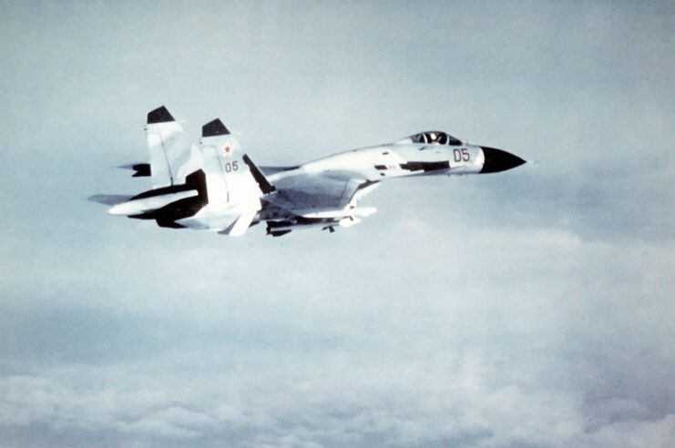 Sukhoi Su-27 in flight