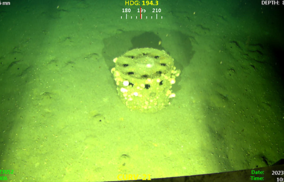 WWII-era munition on the seafloor